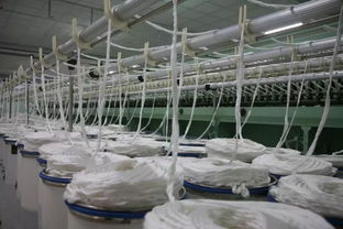 吸纳上百家企业来宜宾 丝丽雅将牵头打造中国再生纤维素纤维产业链基地