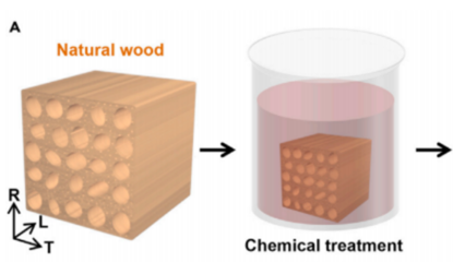 木头有望取代钢铁?中国科学家将天然木材硬度提高23倍,化学处理4小时即可实现